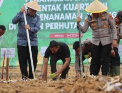 Wabub Katamso Lakukan Tanam Jagung Serentak