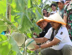 Bupati Tanjabbar Lakukan Kunjungan Kerja Ke Desa Kuala Dasal