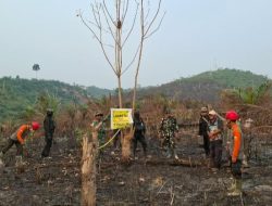 Pantau Karhutla, Satbrimob Polda Jambi Bersama Instansi Terkait Patroli Kawasan Konservasi Gajah di Tebo ‎