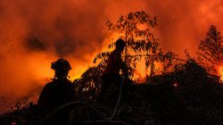 Hutan Lindung Gambut Londerang Jambi Terbakar, 142 Personel Gabungan Dikerahkan