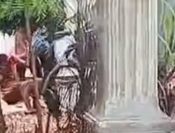 Perkelahian Maut Gegerkan Penyengat Rendah, Kapolsek Imbau Warga Percayakan pada Polisi
