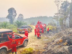 ‎Tim Gabungan Padamkan Karhutla di Sungai Pulai Batanghari, Setengah Hektare Lahan Terbakar